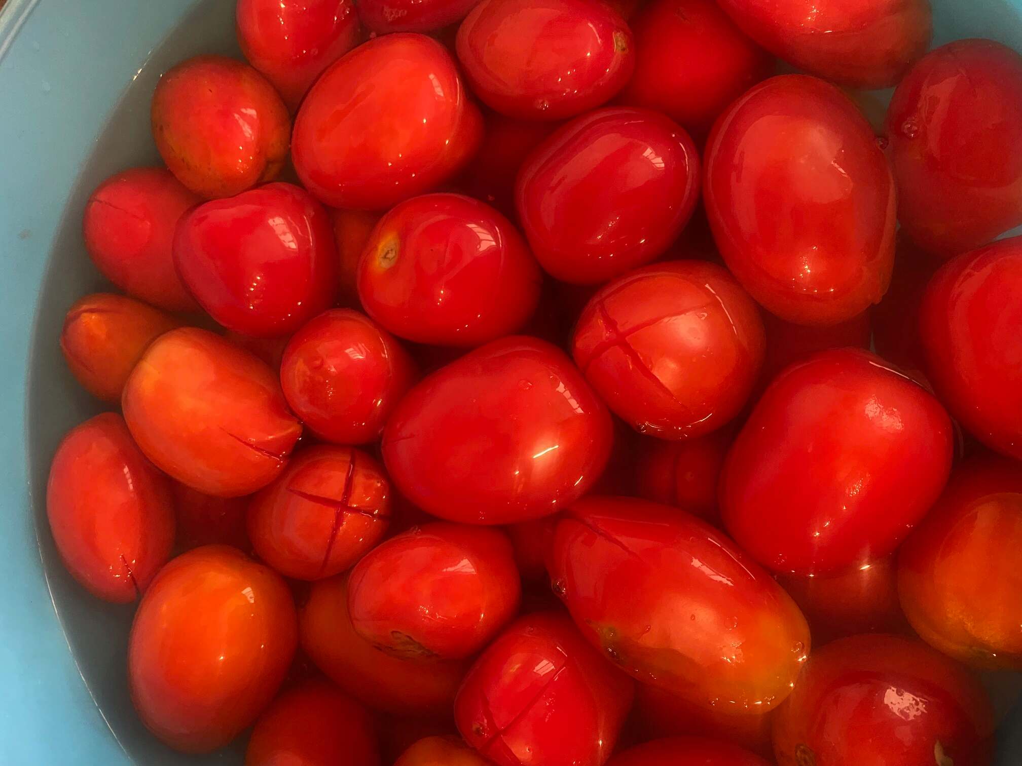 Tomatoes raw ready for cooking