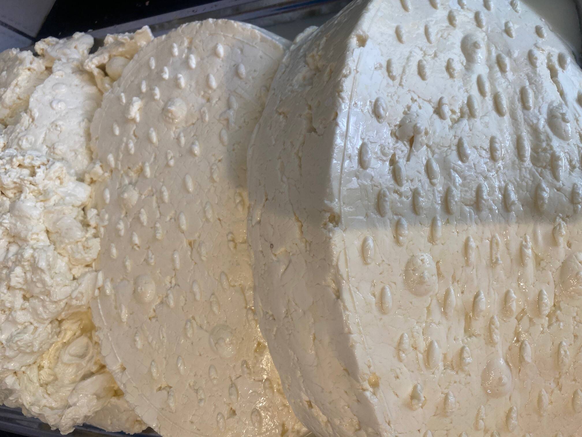 Freshly made ricotta cheese