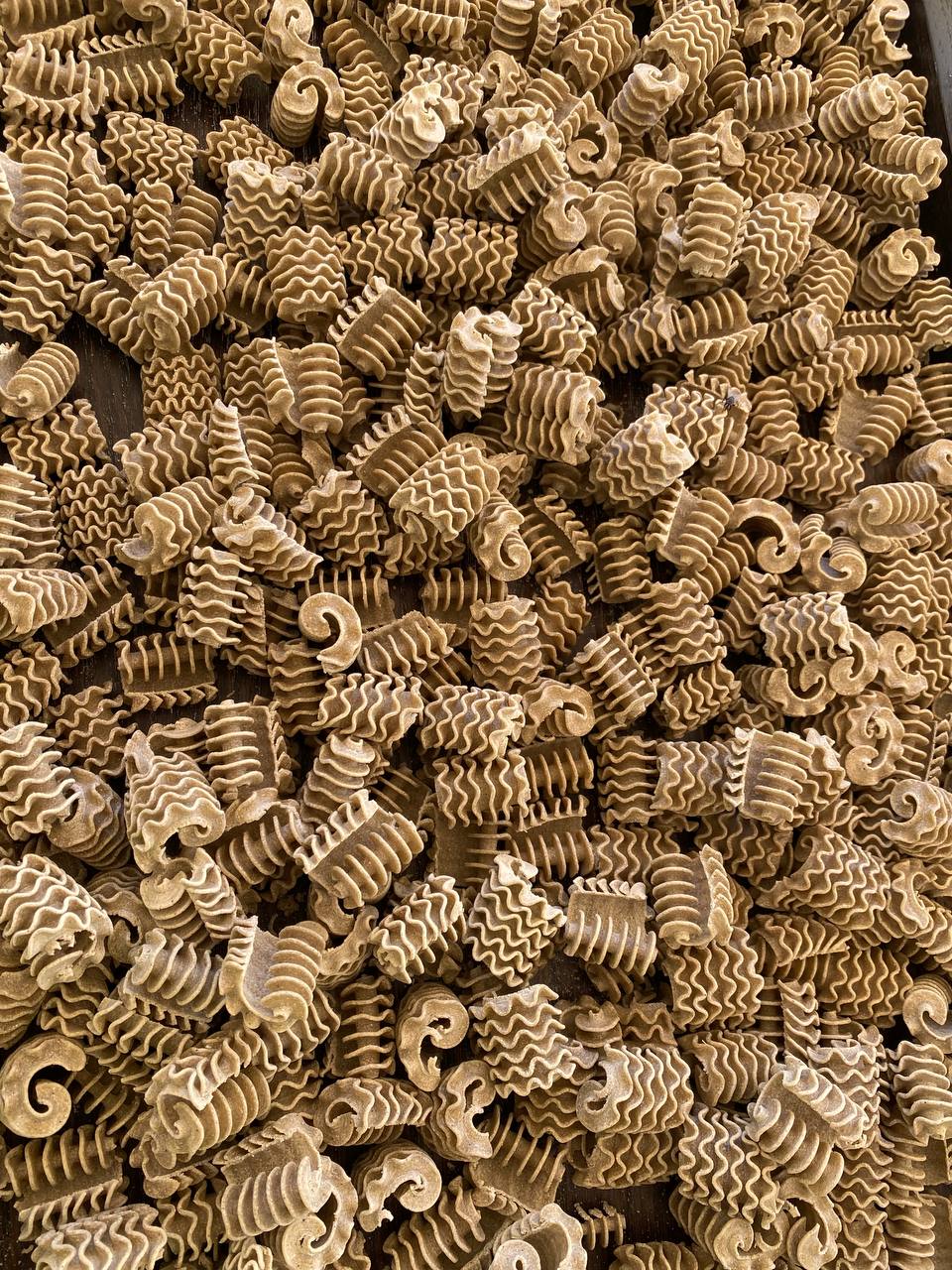 Pasta sample straight from production